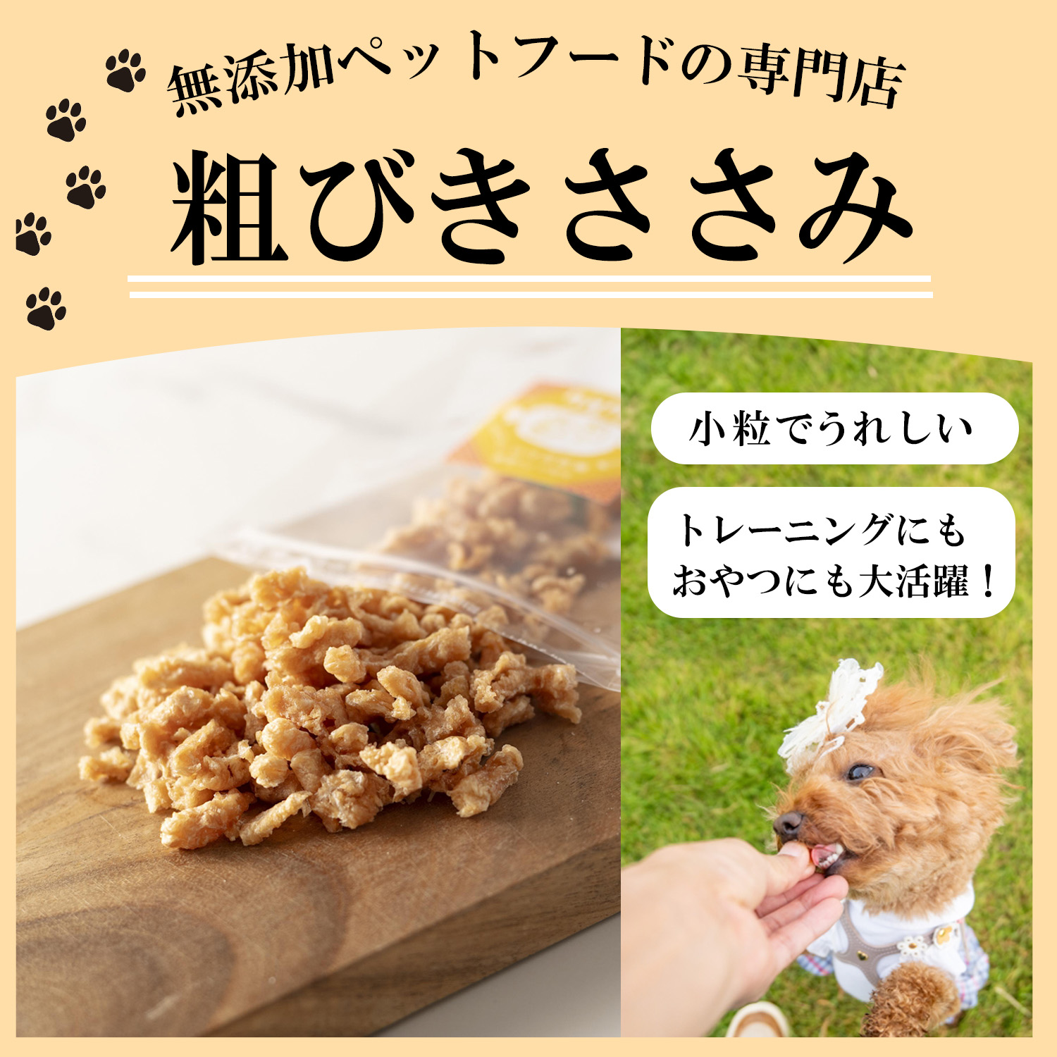 Dogfood　商品紹介　バナー